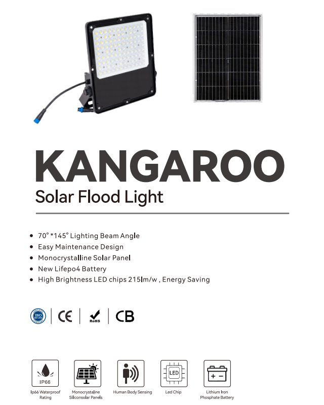 30w solar flood light